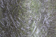 Hanbury fibreglass roof work